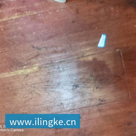 星空体育 可持续材料应用
